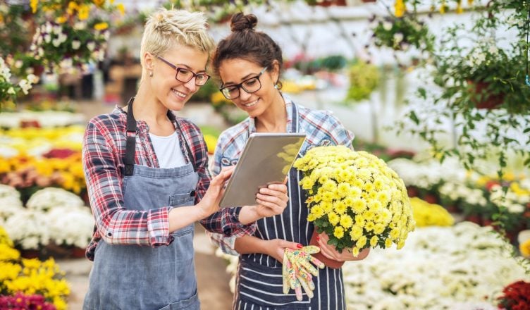Two florists standing in greenhouse and looking at tablet. Blonde one holding tablet while brunette holding pot with yellow flowers.