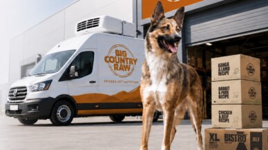A German shepherd stands beside stacked Big Country Raw boxes and a refrigerated delivery van outside a warehouse.